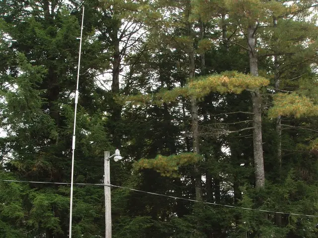 Solar energy for vehicles: a comprehensive guide