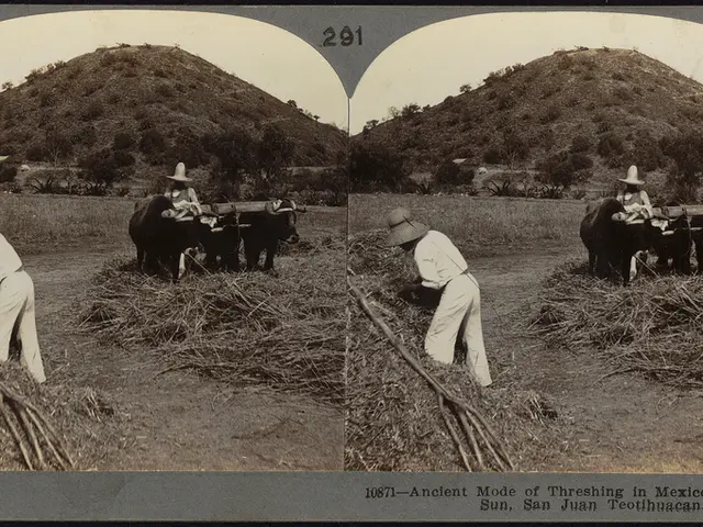 Analysis of Dogwifhat (WIF) costs: What lies ahead?