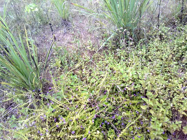 Analysis of CFA Study: Feature Adaptation Strategy Using Linked Hyperspheres for Target-Specific...