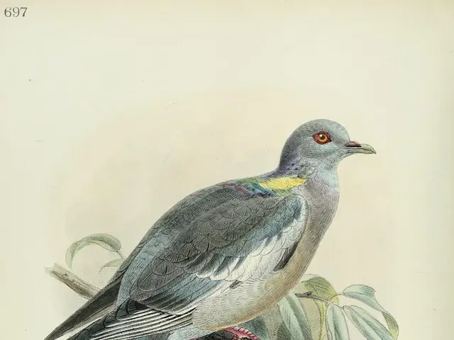 Payment issues with Steam intensify as PayPal becomes effectively unavailable for many regions...