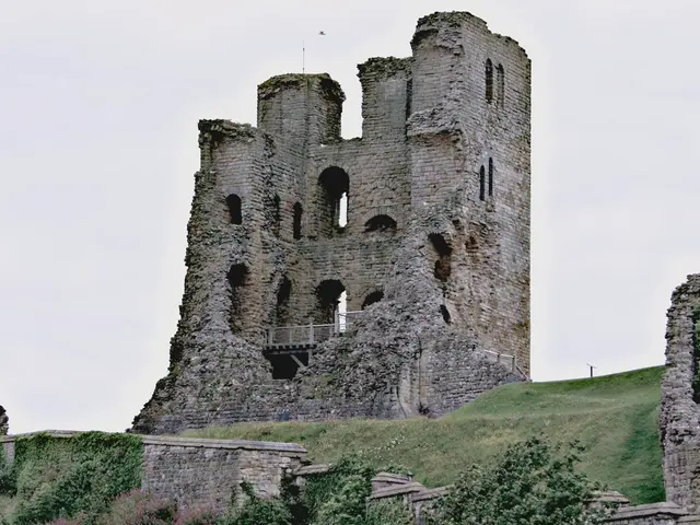 Fortnite Introduces Bug Battles - Helldivers Developers Voice Familiarity