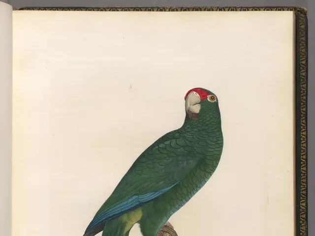 Solving Guess Who Puzzles Through a Mathematical Approach Revealed