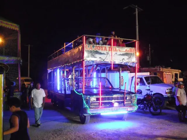 Functioning of Mainz Darknet Monitor: An Explanation