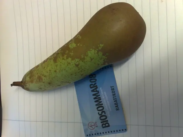 Cross-platform malware disseminated through 11 harmful Go packages and several npm libraries