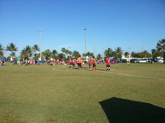 Online retail giant Wildberries initiates a program aimed at bolstering PVZ operations in sparsely...