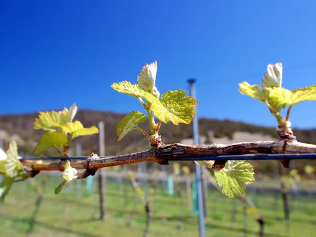 Ransomware attackers disregard your endpoint security measures, having already rendered them...