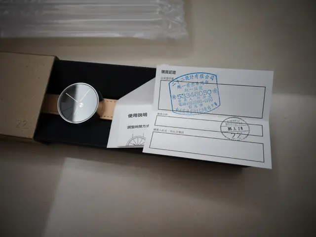 Timex and Huckberry Team Up for a Durable, Automatic Field Watch Priced Under $400