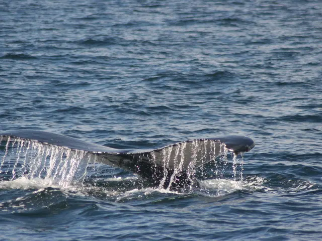 Rapid ether gains: Could Ethereum be due for a significant reversal?