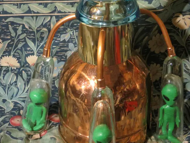 Welcome to Visitor's Allocation Section