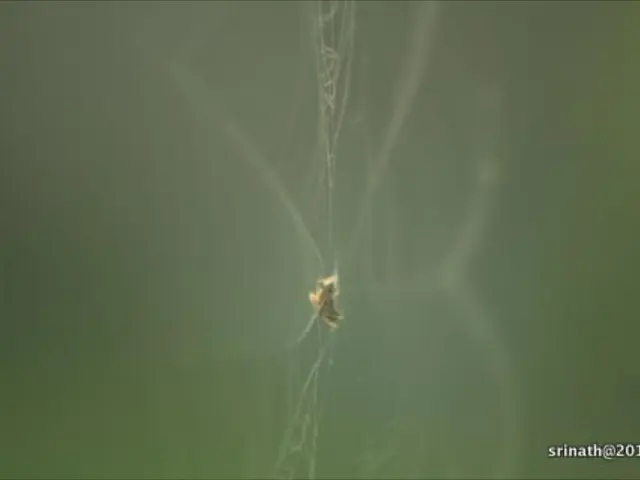 Enhanced Online Anonymity - Windscribe Improves Privacy Features in Chrome and Edge VPN Extensions