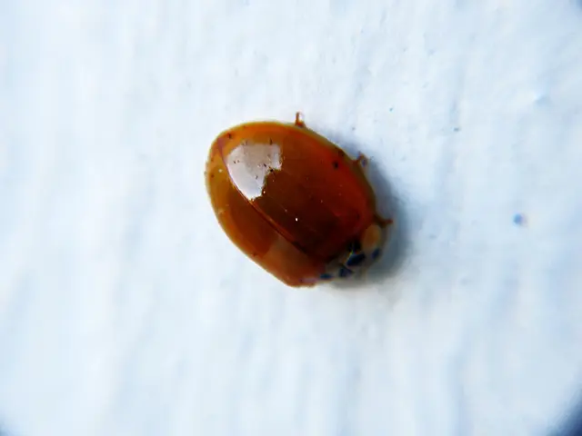 Cloudflare Experiences Downtime due to API Malfunction Caused by Internal Programming