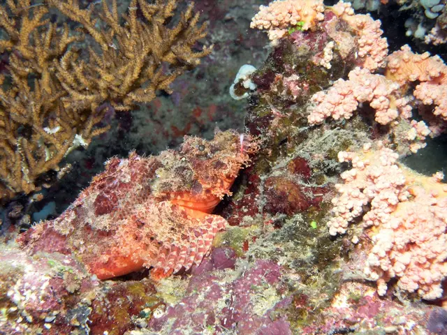 Beneath the Deep Ocean, at a Depth of 4000 Meters, Scientists Discover Remarkable 'Dark Oxygen'