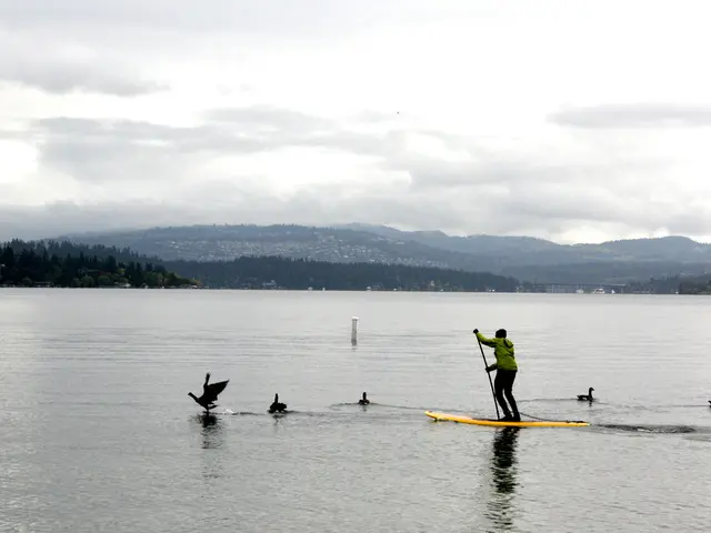 Enhances Antivirus Protection with a Refreshed Design and Complete ARM Compatibility: Surfshark...