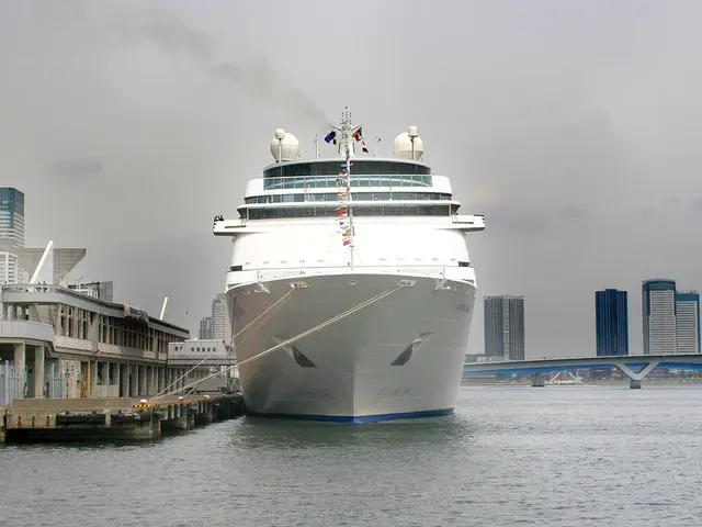 Committee Advocates for Advanced Energy Source for Submarines in Japan