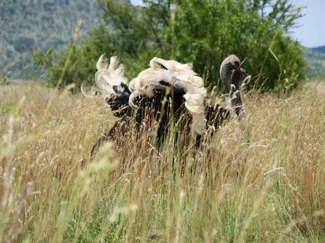 Airtel Money Broadens Financial Options for Farmers in Mtwara, Tanzania