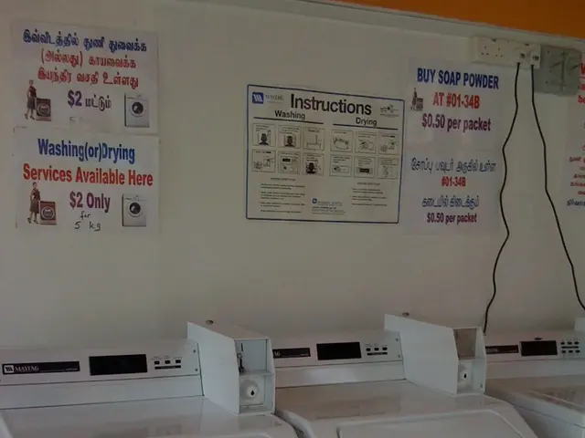 Xenon,an automation company, broadens its horizons and establishes a new base in Dresden for future...