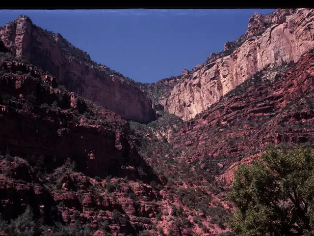 There is a tree at the bottom right corner of this image, and there is a mountain in the...