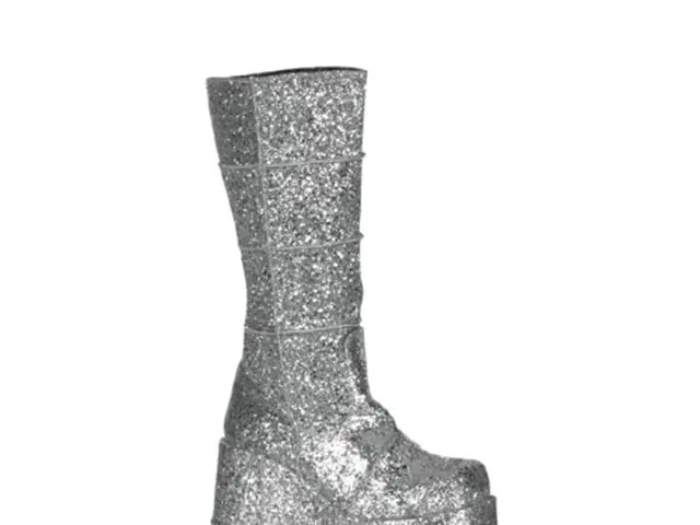 In this image we can see a silver color boot.