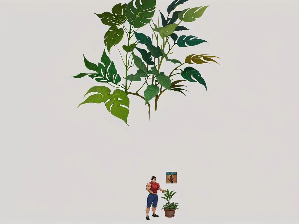 Indoor potted plant featuring dense greenery, ideal for home decor enhancement.